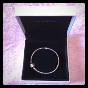 🇨🇦 Pandora Moments Snake Chain Bracelet